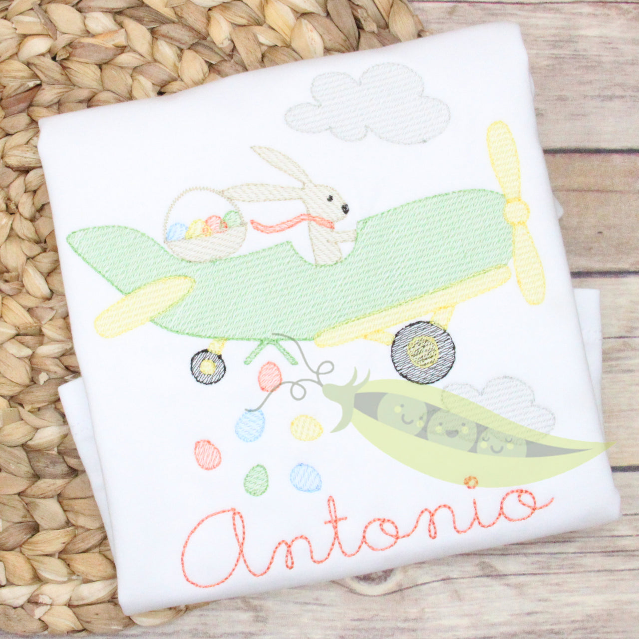 Easter Bunny Airplane