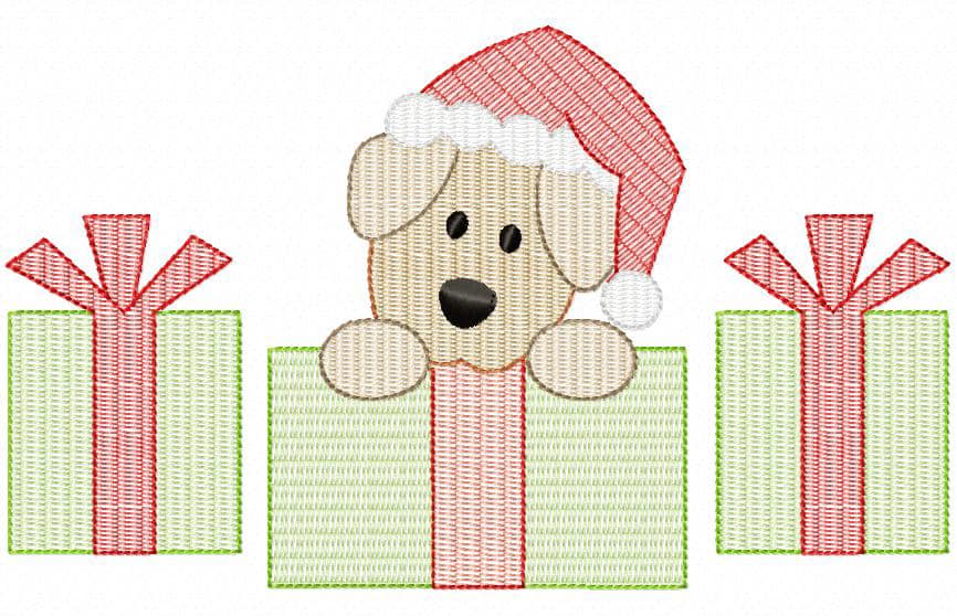 Puppy Present Suprise