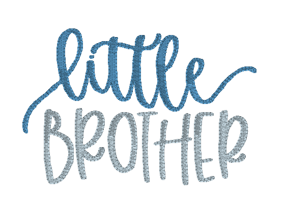 Little Brother